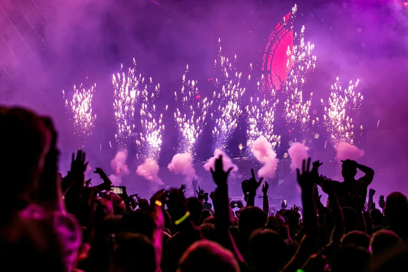 Crowd at vibrant music festival